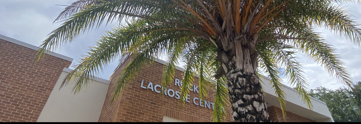 Palm Tree Entrance